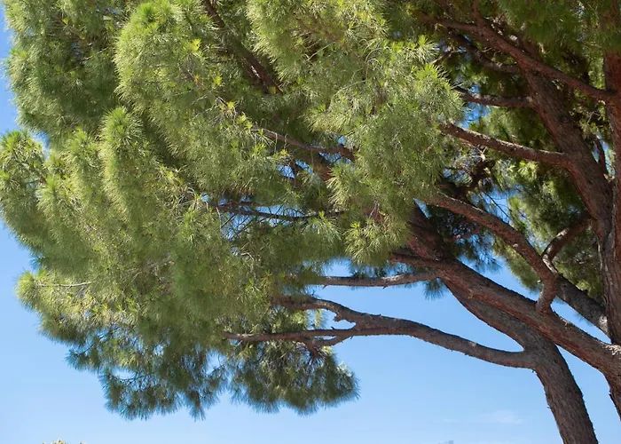 Appartamento 191b - Casa Con Piscina Vista Mare, 300m Dalla Spiaggia